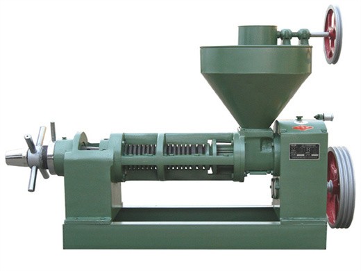 castor oil extraction machine/oil press with ce approved