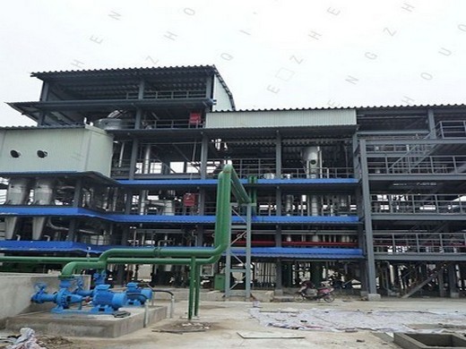 manufacturer, supplier of corn germ/maize oil pretreatment & pre-pressing machine, factory price for sale, low investment cost _corn germ oil