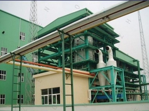 kenya 100tpd palm oil refining and fractionation machine