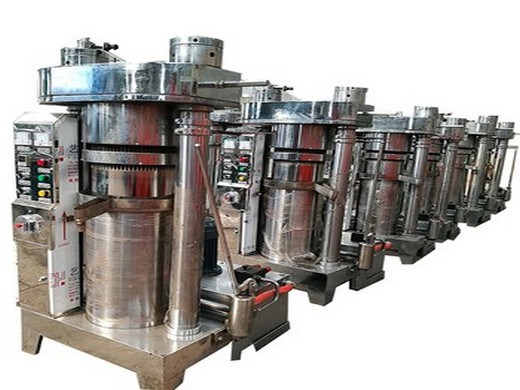 best castor oil extraction machine manufacturer & supplier