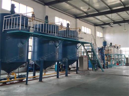 castor sunflower cotton seeds oil press machine from china factory