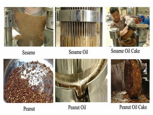 china castor oil extraction machine with high production - china castor oil extraction machine, oil press machinery