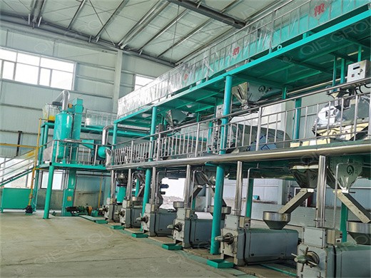 Rwanda about oliomio olive oil processing machines