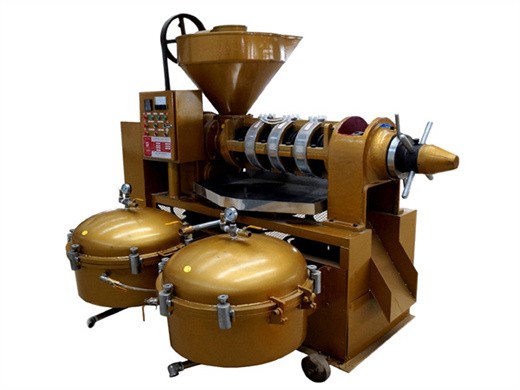 50-120kg/h hydraulic sesame oil extraction machine olive oil press machine